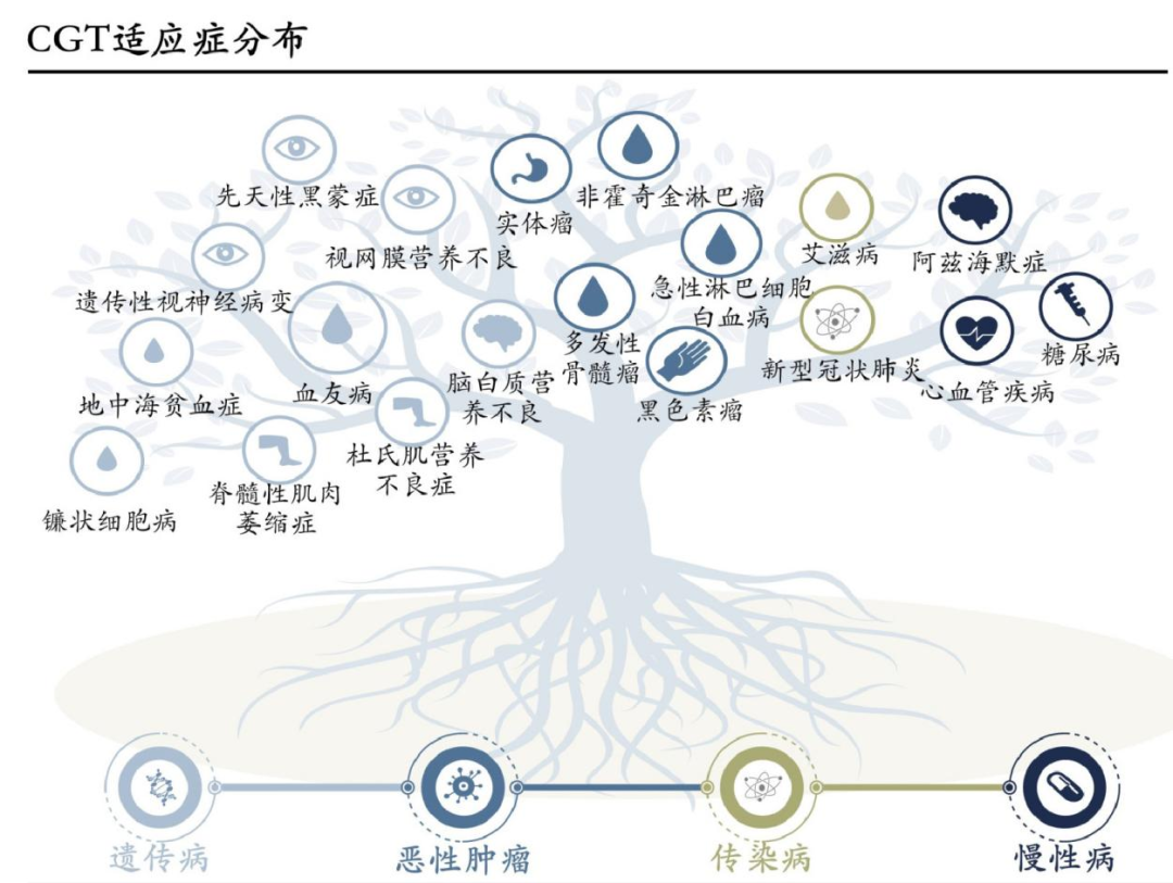 国产GMP级转染试剂助力细胞基因治疗的持续快速发展