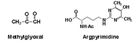 JaICA抗7-酮胆固醇（7-KC）单克隆抗体，品质与价格的双重惊喜