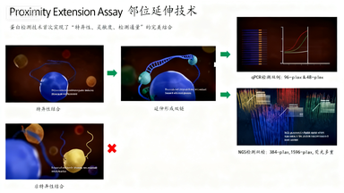 Olink蛋白质组学技术:高灵敏度检测新维度与多领域应用解析