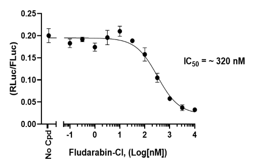 BPS Bioscience 推出ADAR1 荧光素酶报告基因HEK293 细胞系