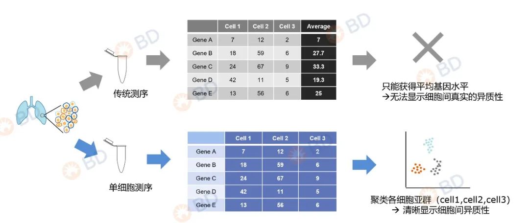 单细胞组学神器，让研究变得如此高效