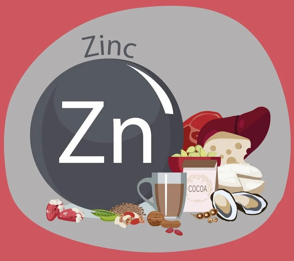 减肥“锌思路”？Nature子刊用科学解释产热脂肪细胞调控