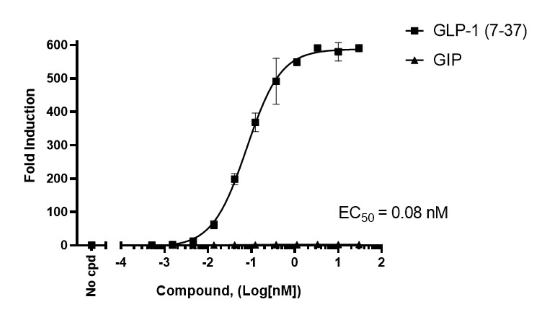 GLP-1R/CRE Luc报告基因 HEK293 细胞系