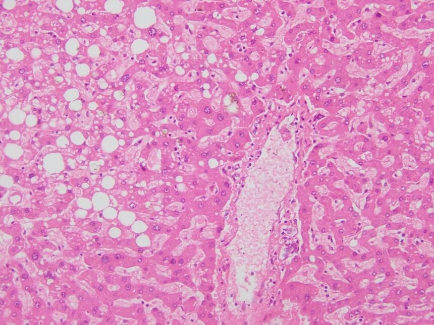 1693384276332643.jpg 1693384276332643.jpg