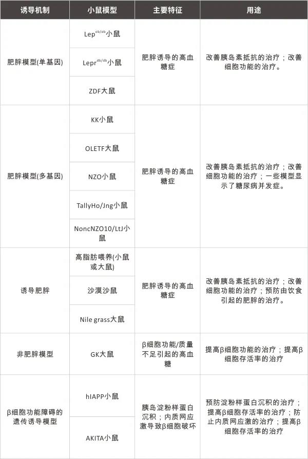 狙击糖尿病？这些大小鼠模型有大作用