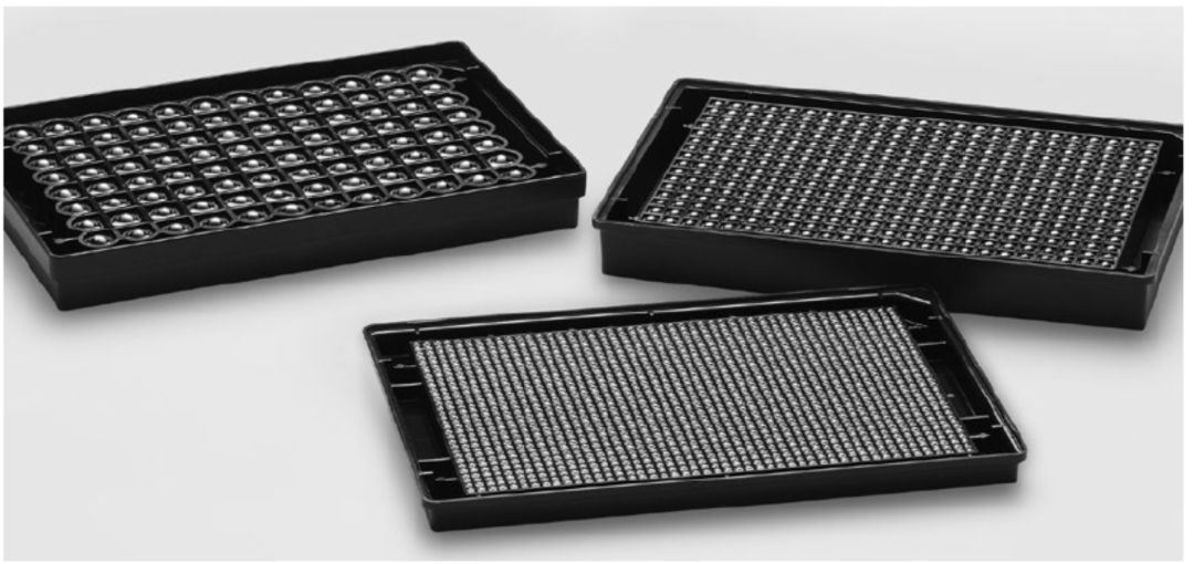 肿瘤细胞和成纤维细胞3D共培养