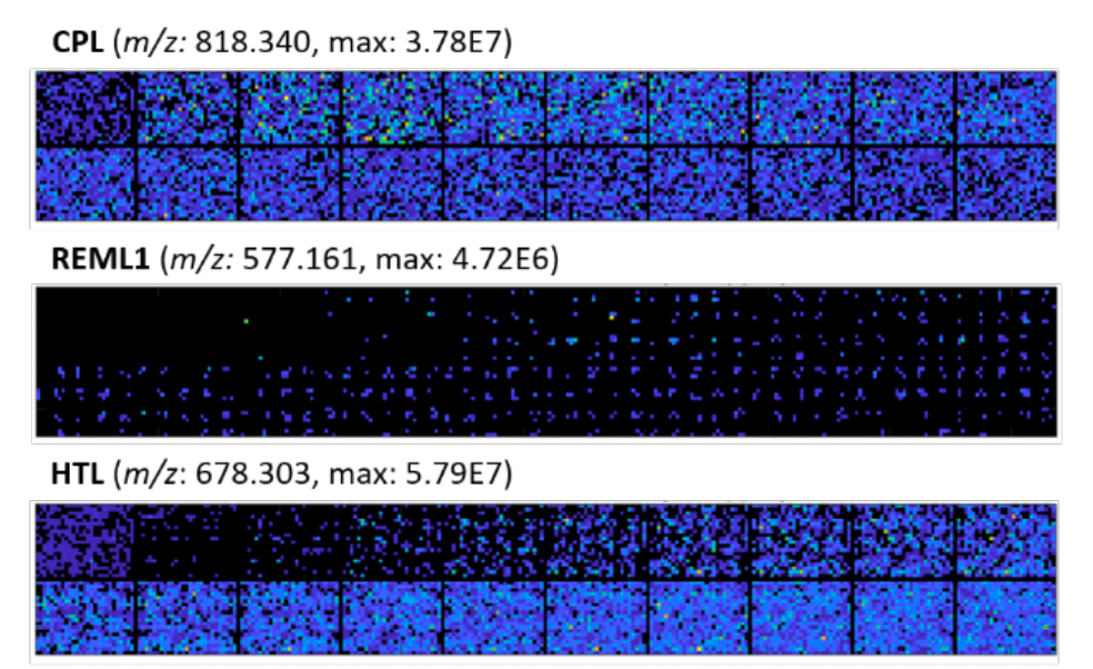 Orbitrap静电场轨道阱超高分辨质谱在OLED分析中的应用