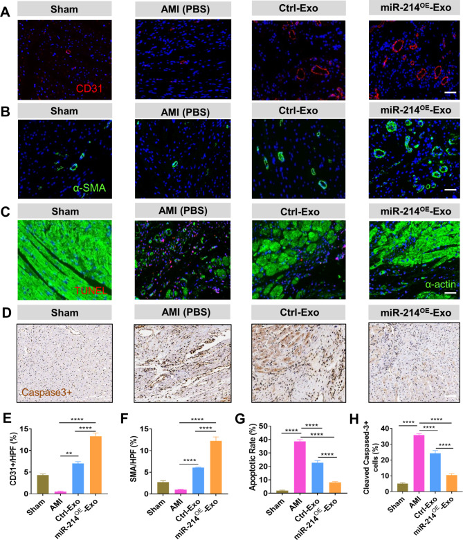 外泌体技术服务