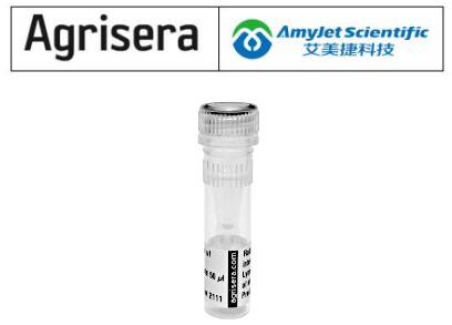 艾美捷 Agrisera 碱性脂肪酶解决方案 艾美捷 Agrisera 碱性脂肪酶解决方案