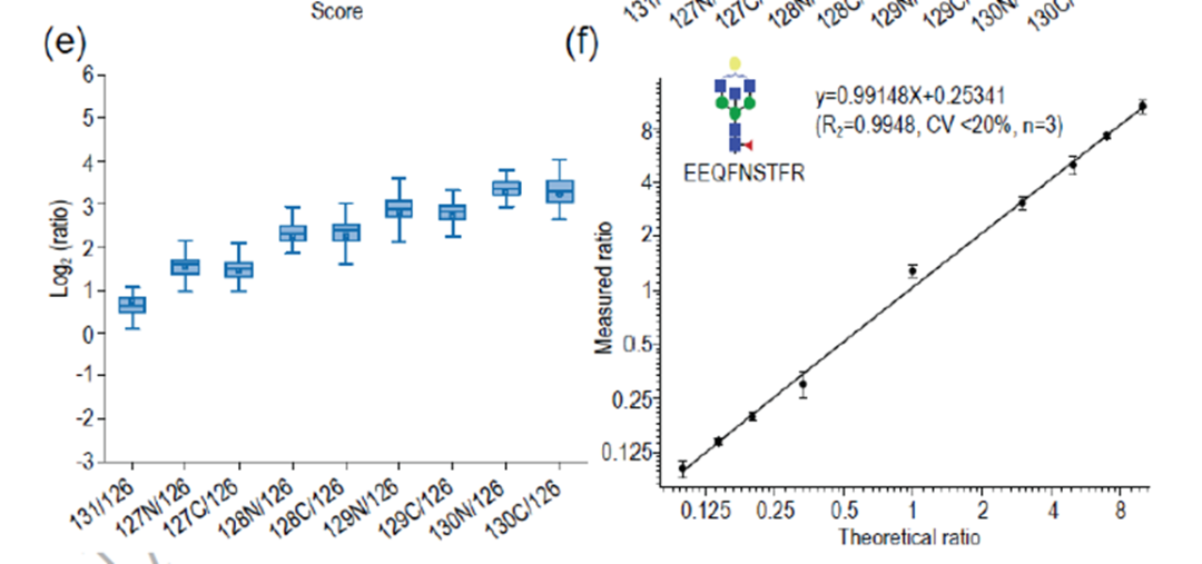基于HCD-pd-ETD碎裂的高通量的完整糖肽定量策略解读
