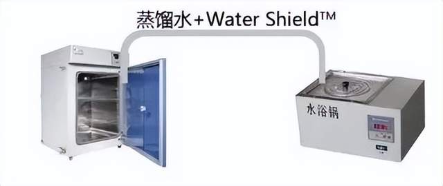 细胞培养之——污染筛查