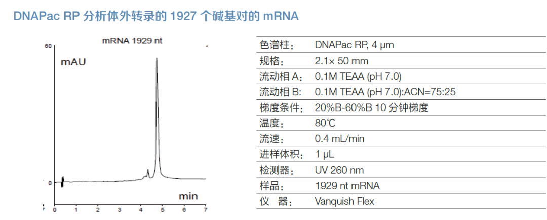 四小名助|快速核酸药物表征全攻略来了