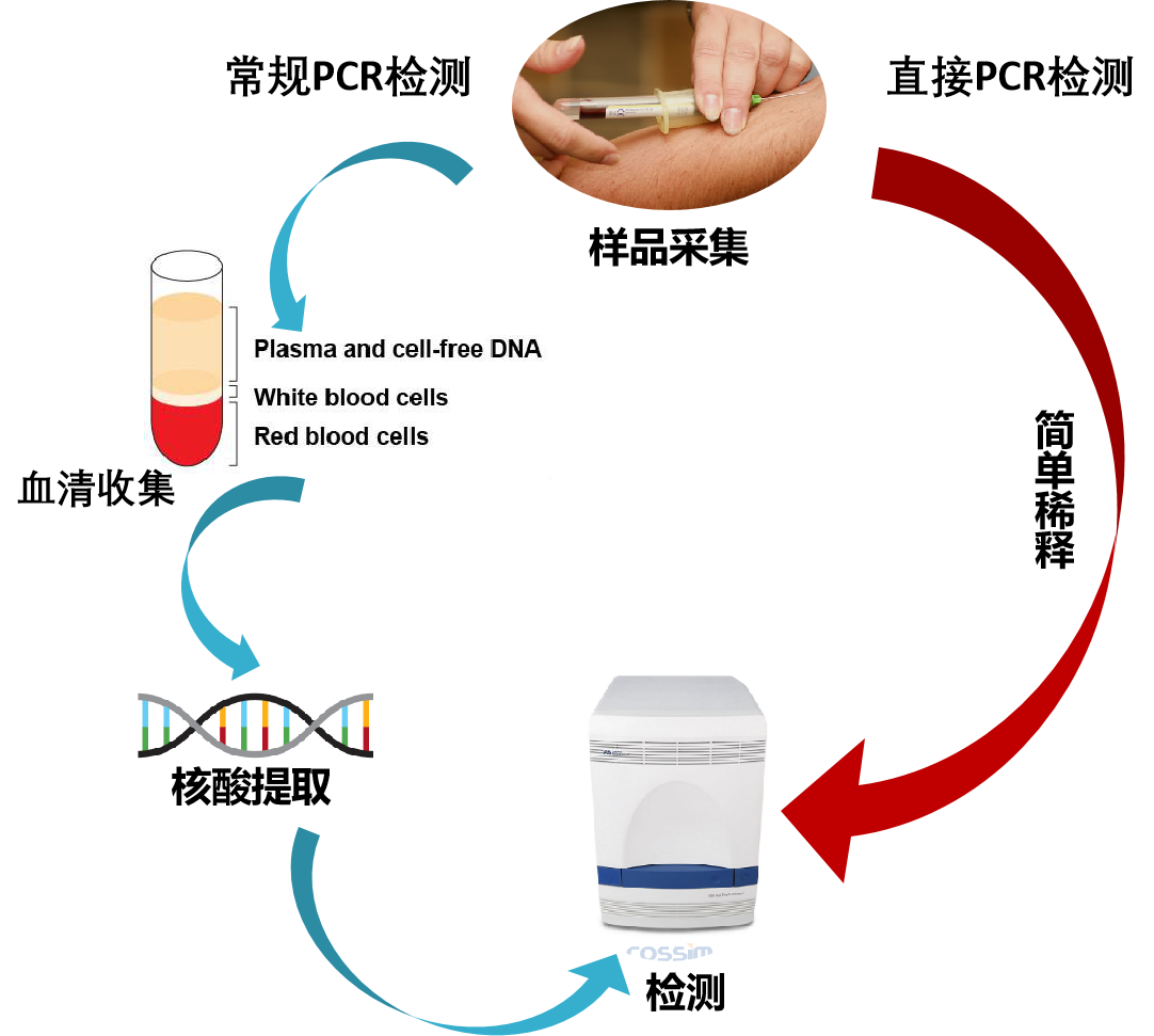 核酸提取瓶颈不再：直扩PCR技术，高效锁定目标基因