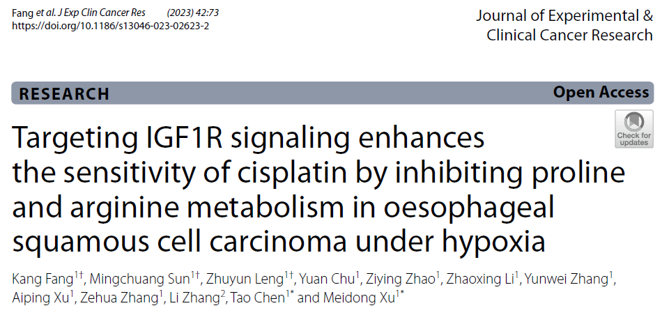 客户案例 | IF 12！上海东方医院研究团队揭示靶向肿瘤代谢重编程改善食管鳞癌顺铂耐药的新途径