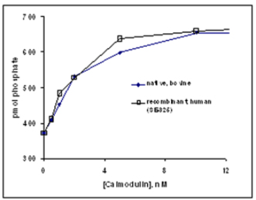 艾美捷Enzo人重组钙调蛋白应用示例及文献参考 艾美捷Enzo人重组钙调蛋白应用示例及文献参考