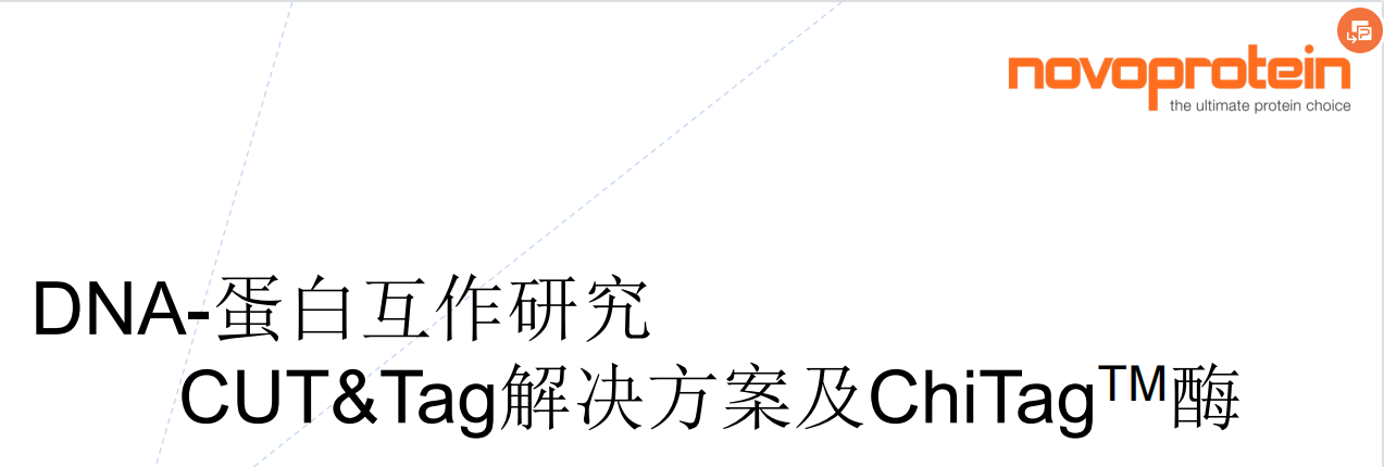 DNA-蛋白质互作研究方法