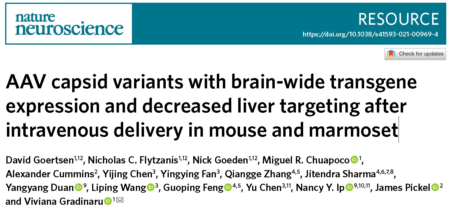 Nat Neurosci. | 新型AAV血清型，静脉到脑，一针注射，全脑表达，肝脏低靶向性！
