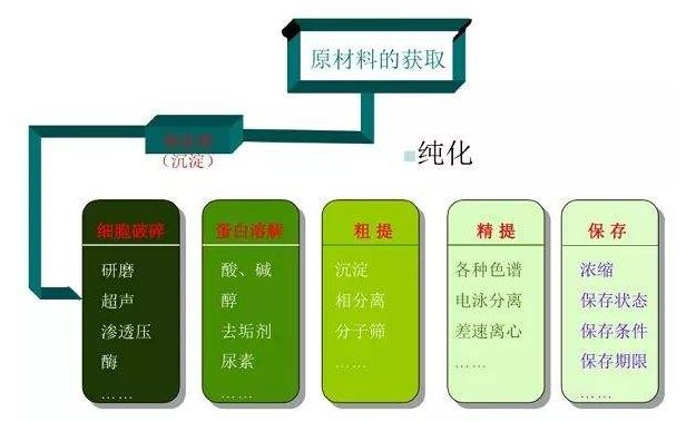 干货分享 | 又一城，蛋白提取纯化，收入囊中