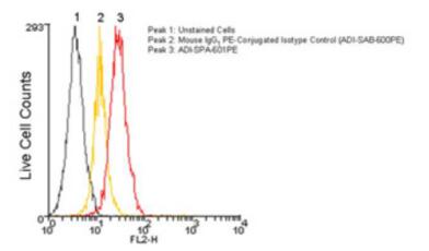 多功能艾美捷钙网蛋白(CRT)单克隆抗体 多功能艾美捷钙网蛋白(CRT)单克隆抗体