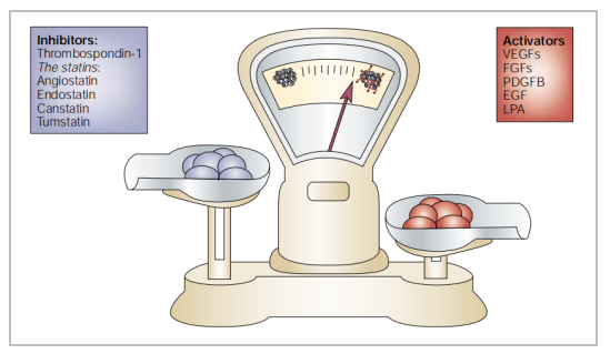 肿瘤血管生成机制及研究