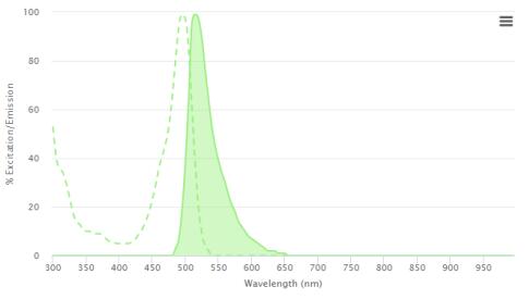 荧光素 (FITC) AffiniPure 羊驼抗人 IgG (H+L)功能参数 荧光素 (FITC) AffiniPure 羊驼抗人 IgG (H+L)功能参数