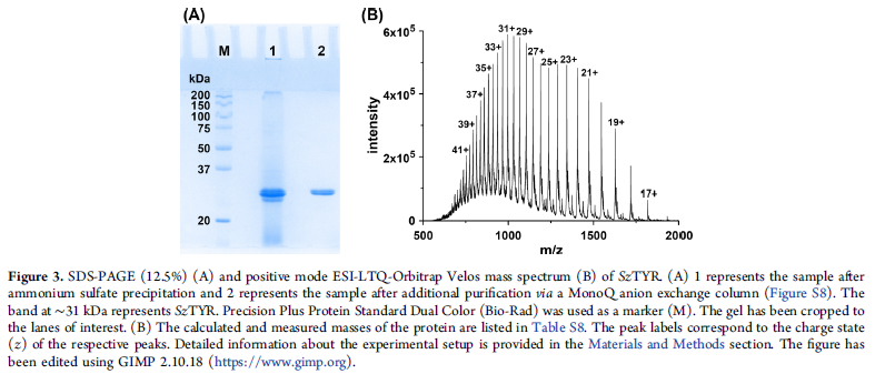 图片11.png 图片11.png