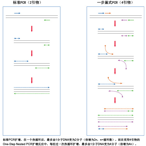 来了，来了，他来了！检测技术的又一法宝——超敏一步巢式Taqman qPCR