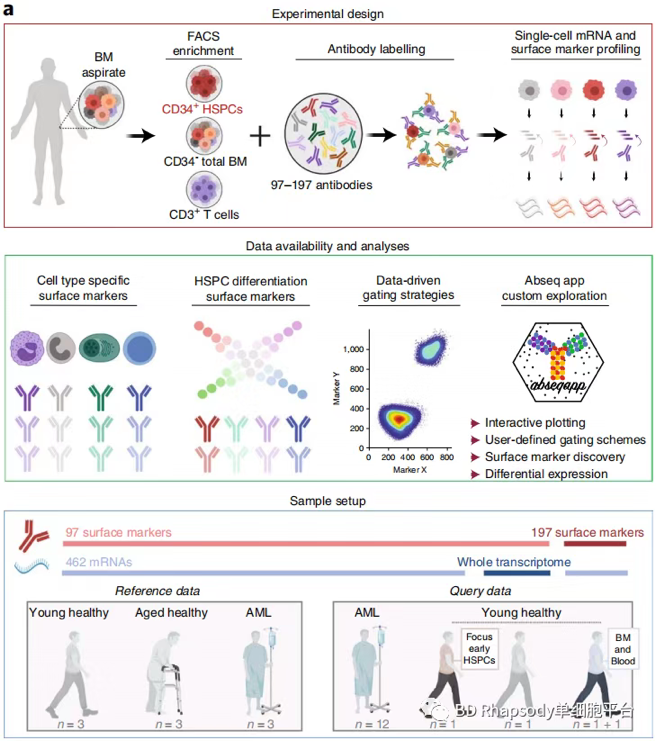 BD Rhapsody AbSeq + WTA + TTA + SMK + FACS Aria II助力白血病研究