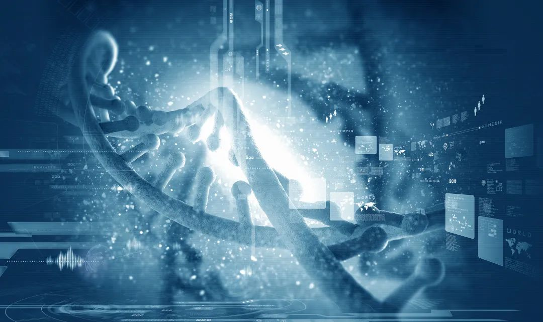 四小名助|快速核酸药物表征全攻略来了