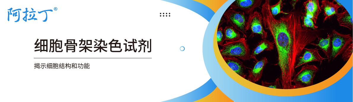 【阿拉丁】细胞骨架染色