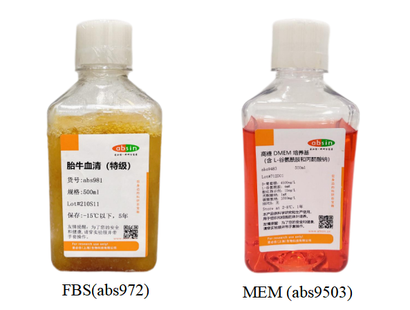 293T 细胞培养攻略