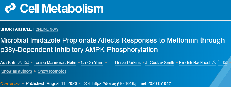 绘谱导读︱8月代谢组学文献精选