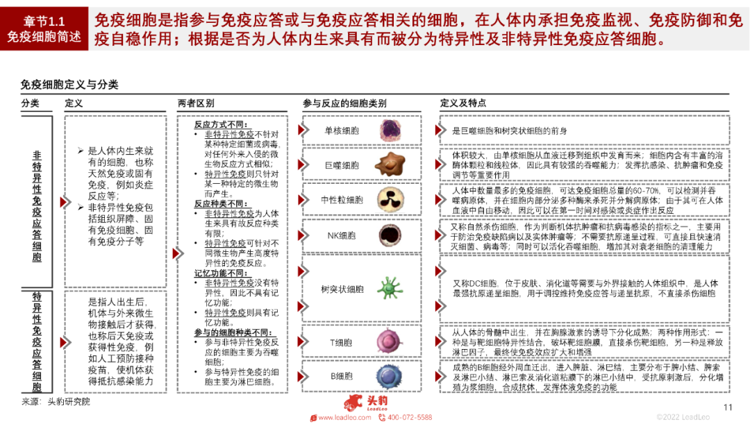 16968201851353003FB9.png 17.png