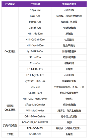一小时包教包会！Cre工具鼠系统在实际应用场景中的问题与思考
