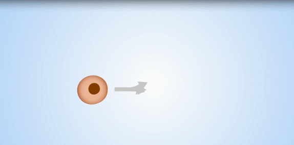 超过4万篇论文，19万名患者证实：干细胞疗法正从理论走向临床实践