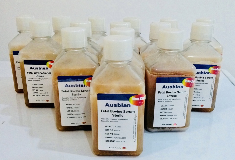 UCI研究人员发布了有关神经回路图谱中病毒示踪剂的新指南