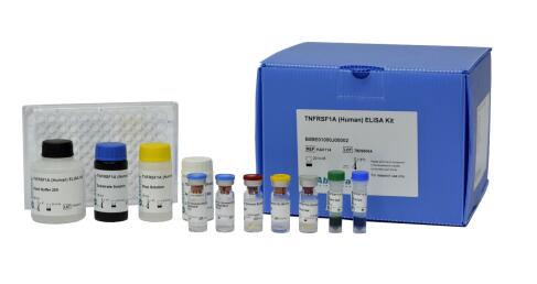 艾美捷MYOC(人)匹配抗体对参数和相关研究介绍 艾美捷MYOC(人)匹配抗体对参数和相关研究介绍