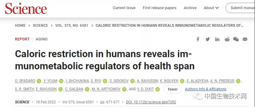 “八分饱”真的可以带来长期健康影响