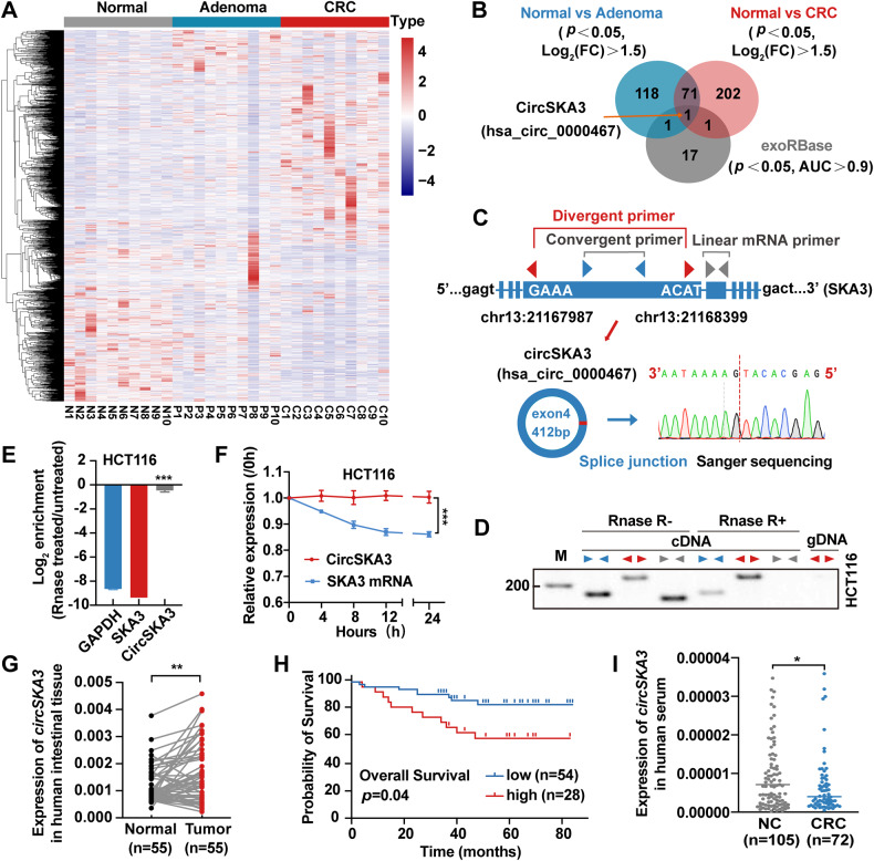 circRNA成环验证 circRNA成环验证