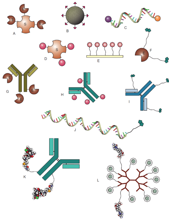 技术服务|生物偶联服务