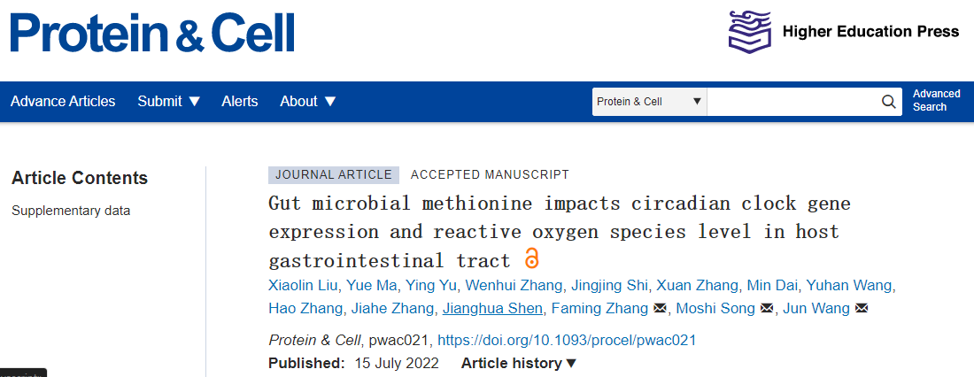 Protein & Cell | 菌群代谢物甲硫氨酸影响宿主时钟基因表达和活性氧水平