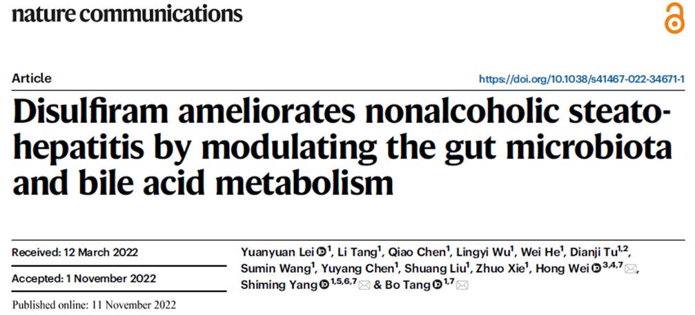 客户案例 | NC：肠肝轴再添实证！这种戒酒药物可通过调节肠道菌群改善非酒精性脂肪性肝炎