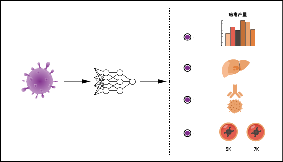 眼科与退行性疾病