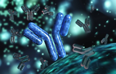 Polyclonal Antibody in serum or affinity purified, what is a difference and how can it influence my results?