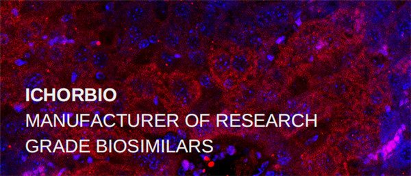 ichorbio生物仿制药研究现状及开发步骤