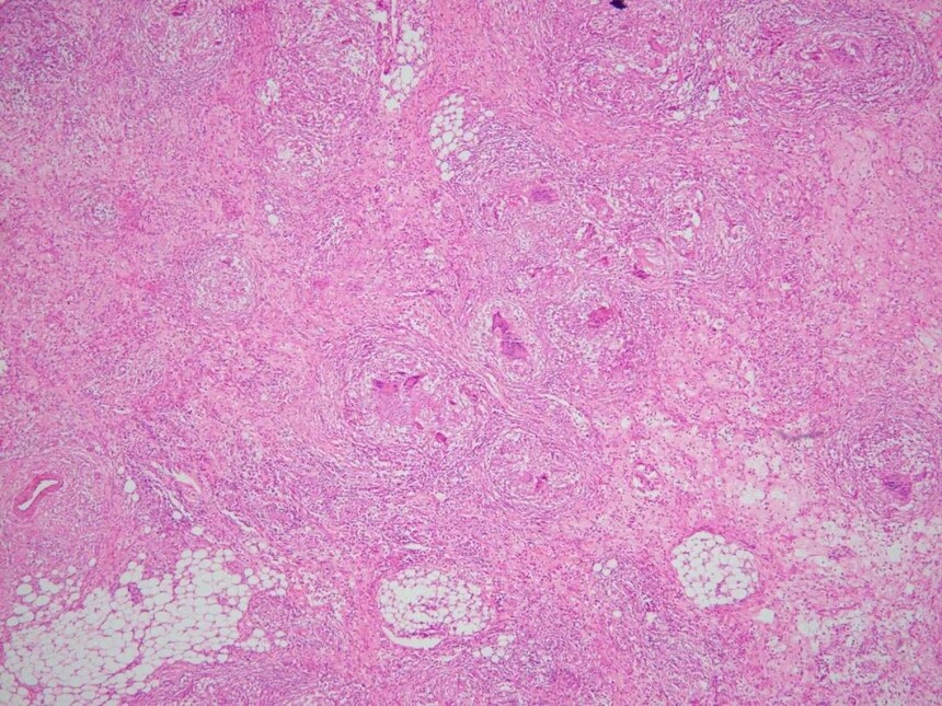 1693384795609309.jpg 1693384795609309.jpg