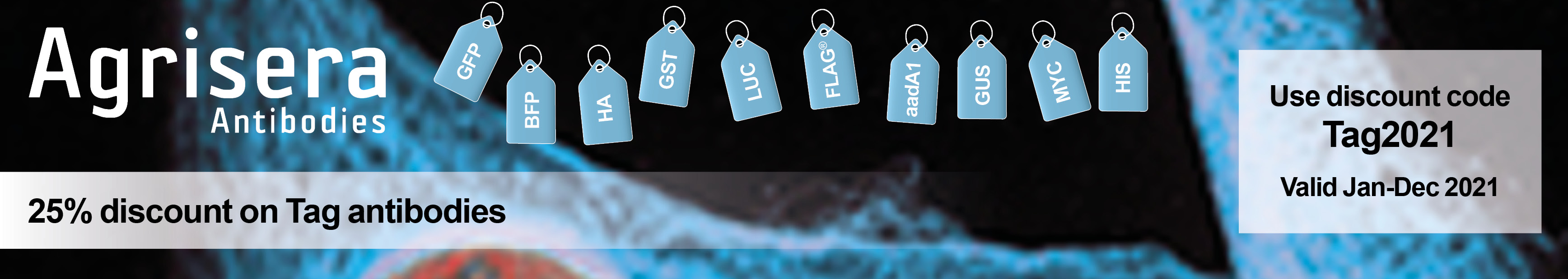 25 % off on anti-TAG antibodies