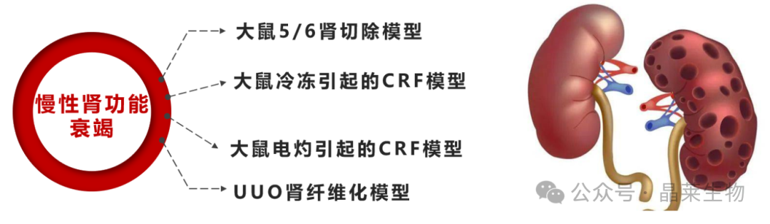 1709541697629617.png 新闻图片8