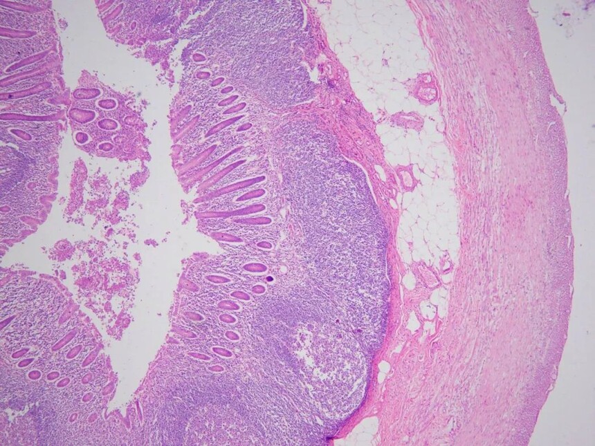 1693384320480587.jpg 1693384320480587.jpg