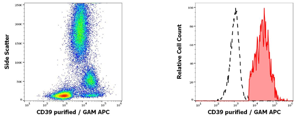 抗人CD39纯化抗体，低价抢购不容错过！
